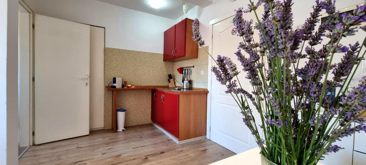 Tiny Studio Big Living Apartment Rovinj Luaran gambar