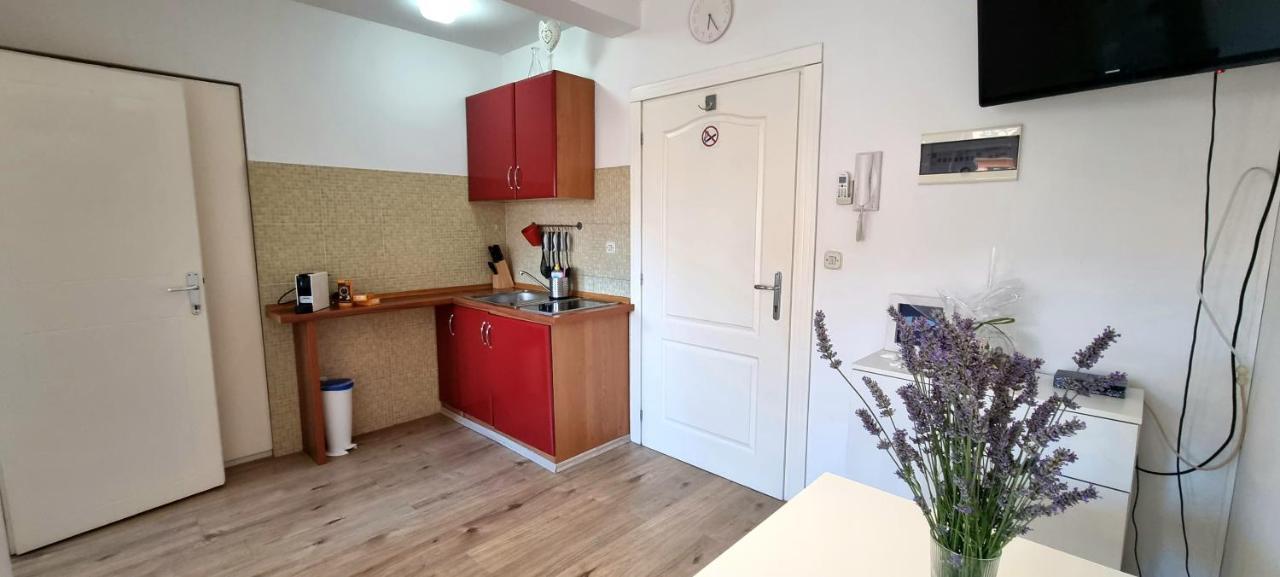 Tiny Studio Big Living Apartment Rovinj Luaran gambar
